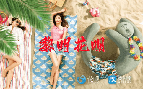 发扬光大花呗